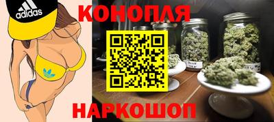 прущие крисы Когалым